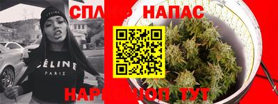 PSILOCYBIN Малгобек