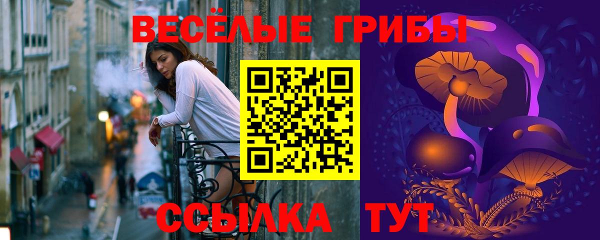 Каменск-Шахтинский  Псилоцибиновые грибы Magic Shrooms  Вход с VPN  купить   Галлюциногенные грибы прущие грибы 