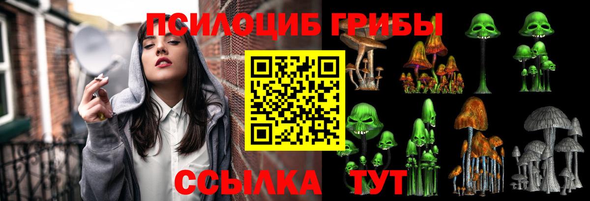Галлюциногенные грибы GOLDEN TEACHER Каменск-Шахтинский